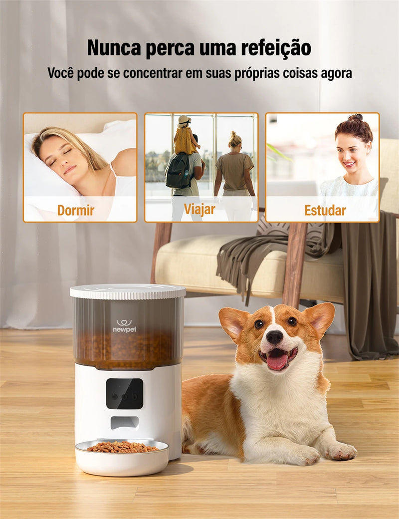 Alimentador para gatos com temporização  capacidade de 4L, aplicativo inteligente, alimentador para gatos, aço inoxidável