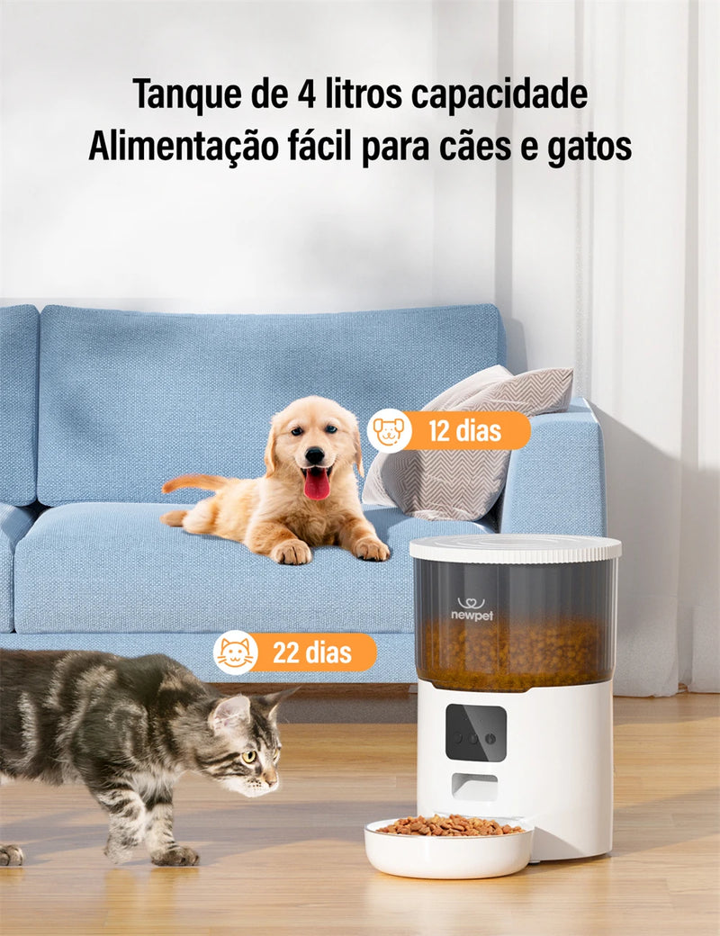 Alimentador para gatos com temporização  capacidade de 4L, aplicativo inteligente, alimentador para gatos, aço inoxidável